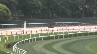 Ill Have Another gallops at Belmont Park May 27 [upl. by Paradies]