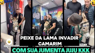 😱 PEIXE DA LAMA INVADIR CAMARIM COM SUA JUMENTINHA JUJU [upl. by Acnayb]