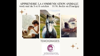 Témoignage du stage Communication Animale du 5 et 6 octobre 2024 à St Jeoire en Faucigny [upl. by Nevah336]