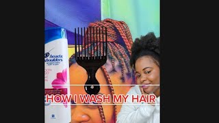 HOW I WASH MY HAIR EVERY WEEK viralvideo MustWatch2024 hairstyle highlighted subscribe [upl. by Eillam]