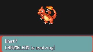 My Charmeleon Evolved Into A Charizard [upl. by Estella]