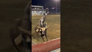 Bullriding springville ca hot August nights 2024 rodeo rodeosport bullriding horse cowboy pbr [upl. by Nnaxor]