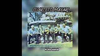 CUARTETO MAYARI  MI DIOSA IDOLATRADA LETRA [upl. by Neehar241]