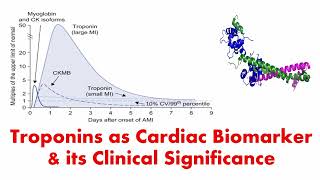 Troponins as Cardiac Biomarker its Importance ampClinical Significance  Cardiac Troponin cTnT cTnI [upl. by Oiramaj528]