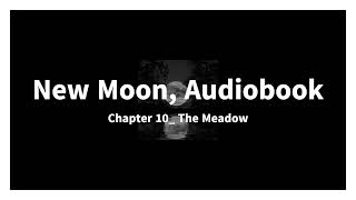 New Moon Audiobook Chapter 10 The Meadow [upl. by Llerrot716]