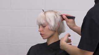 StepByStep Everyday Silver Color Blocking  Get the Look  PRAVANA [upl. by Pearline]