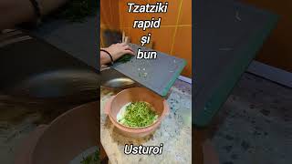 Tzatziki rapid și bun [upl. by Spillihp]