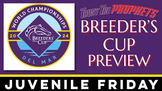 BREEDERS CUP FRIDAY PREVIEW JUVENILE RACES  DEL MAR [upl. by Josefa]