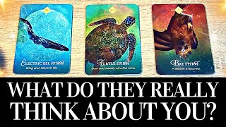 PICK A CARD 🔮 🤔 WHAT DO THEY REALLY THINK ABOUT ME 🤔 🔮 PlatonicRomanticFamilyWork Tarot Reading [upl. by Gilberta]