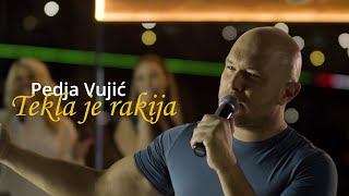 Pedja Vujic  Tekla je rakija  Bekrija Cover 2021 [upl. by Rafe]