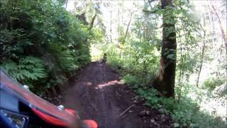 XR650L on a dirt bike trail in Capital Forest Washington [upl. by Nevram]