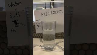 Electrolysis Water Experiment [upl. by Abeh]