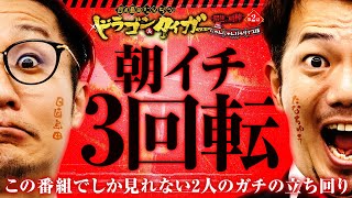 朝イチ3回転⁉ 日直島田ampたなちゅうドラゴン＆タイガー 最強の相棒 〜にゃんにゃんパラダイス編〜【第2話12】 simadaobasan pekarutv [upl. by Chui]