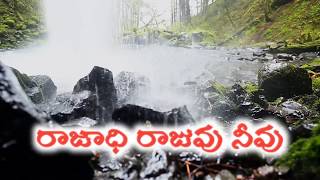 నిత్యము స్తుతించినా  Nityam stutinchina [upl. by Umeko]