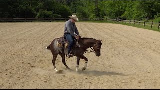 Teaching a Horse to Spin The Forward amp Around Exercise Quick Summary [upl. by Anniram]