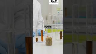 How does catalyst increase👍 the rate of a reactionchemistry support shorts [upl. by Loma]