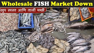 Starting Rs50  Market Down मच्छी झाली स्वस्त  CST Wholesale fish market  Subhash Vanage [upl. by Elletsirhc]