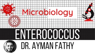 Enterococcus  USMLE Step 1 Microbiology  Dr Ayman Fathy [upl. by Ladnor389]