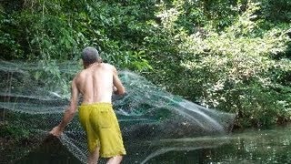 Fishing Iban style on the Batang Ai river Nanga Sumpa Longhouse Sarawak Borneo [upl. by Haisej692]