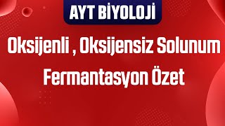 46 Oksijenli Solunum  Oksijensiz Solunum  Fermantasyon Özet [upl. by Ander]