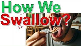 Human Physiology II How We Swallow Food Bangla HumanPhysiology SwallowingProcess [upl. by Hadeis]