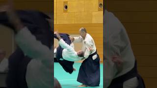 wwwaikikaisk  Slovak Aikido Association  Aikikai Slovakia [upl. by Liesa13]