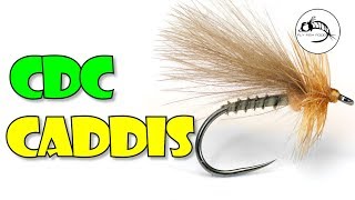 Fly Tying Tutorial CDC amp Biot Caddis [upl. by Damiano]