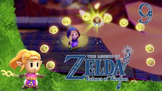 The Legend of Zelda Echoes of Wisdom 9  WüstentempelRuine im Nichts  Lets Play mit Facecam [upl. by Averyl217]