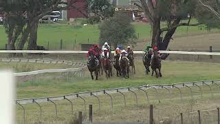 Gulgong 09 06 2024 Race 5 [upl. by Ithnan]