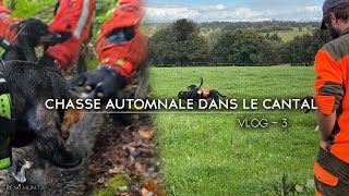 VLOG 3  CHASSE AUX SANGLIERS DANS LE CANTAL  SAISON 20242025 [upl. by Nnaeirrac564]