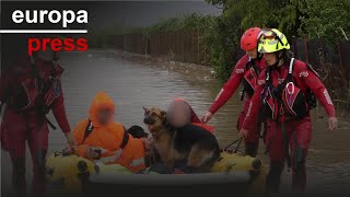 Rescate a una pareja y sus dos perros en una zona rural de Alzira Valencia [upl. by Weisman]