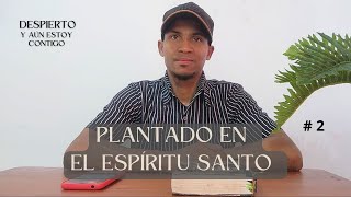 Despierto Y Aún Estoy Contigo  Plantado En El Espíritu Santo 2  Deimer Renteria [upl. by Eylatan]