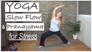 25 Min Yoga Class for Stress Relief with Pranayama Breath Work  Feel Good Flow [upl. by Anay]