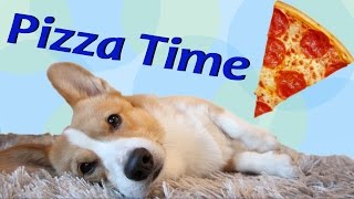 Pizza Time  Topi the Corgi [upl. by Severn]