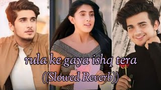 rula ke gaya ishq tera Slowed Reverb lofi song [upl. by Llennahs]