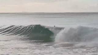 Noosa surf surfing queensland australia surfer afternoon noosa [upl. by Winshell]