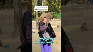 Omg What does the monkey do shorts viralvideo foryou [upl. by Adeehsar402]