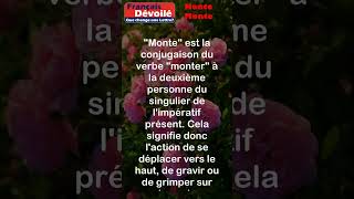 Honte et Monte shorts Une Lettre [upl. by Onra]