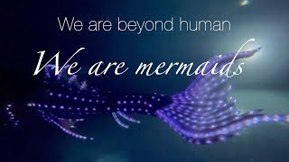 Beyond human we are mermaids [upl. by Jolee581]