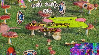 Wallows  scrawny مُترجمة Arabic Sub [upl. by Alphonsa807]