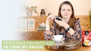 Principais produtores de chás no Brasil 🍵🍃 [upl. by Lazare]