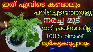 100 natural hair dye പറിച്ചെറിയുംമുമ്പ് ഒന്ന് കണ്ടു നോക്കൂ മൊട്ടത്തലയിലും മുടിവളരും കട്ടകറുപ്പാവും [upl. by Silvers951]