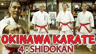 OKINAWA KARATE  SHORIN RYU  Shidokan  MDV Communication [upl. by Occor939]