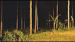 EAS Indonesia Concept 09101990 ANM010 Gaung  Observation Footage [upl. by Roxane]