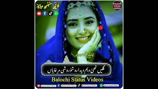 balochi status videos [upl. by Anyak]