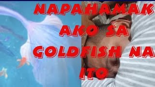 NAPAHAMAK AKO DAHIL SA GOLDFISH 😁 [upl. by Sue]