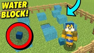 Minecraft PS4  How To Get The WATER BLOCK Glitch Tutorial 2019 [upl. by Bounds]