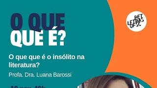 O que que é o insólito na literatura – com Luana Barossi [upl. by Enovahs]