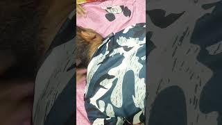 cervical pain back pain shoulder pain ab hoga bilkul thik shorts massage chiropractic shortvideo [upl. by Lin]