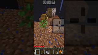 Making tree farm in Minecraft [upl. by Bilski325]